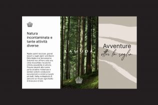 Brand strategy, brand architecture, naming, visual identity, web design