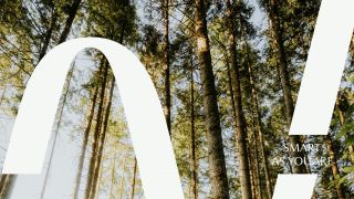 Brand strategy, brand architecture, naming, visual identity, web design